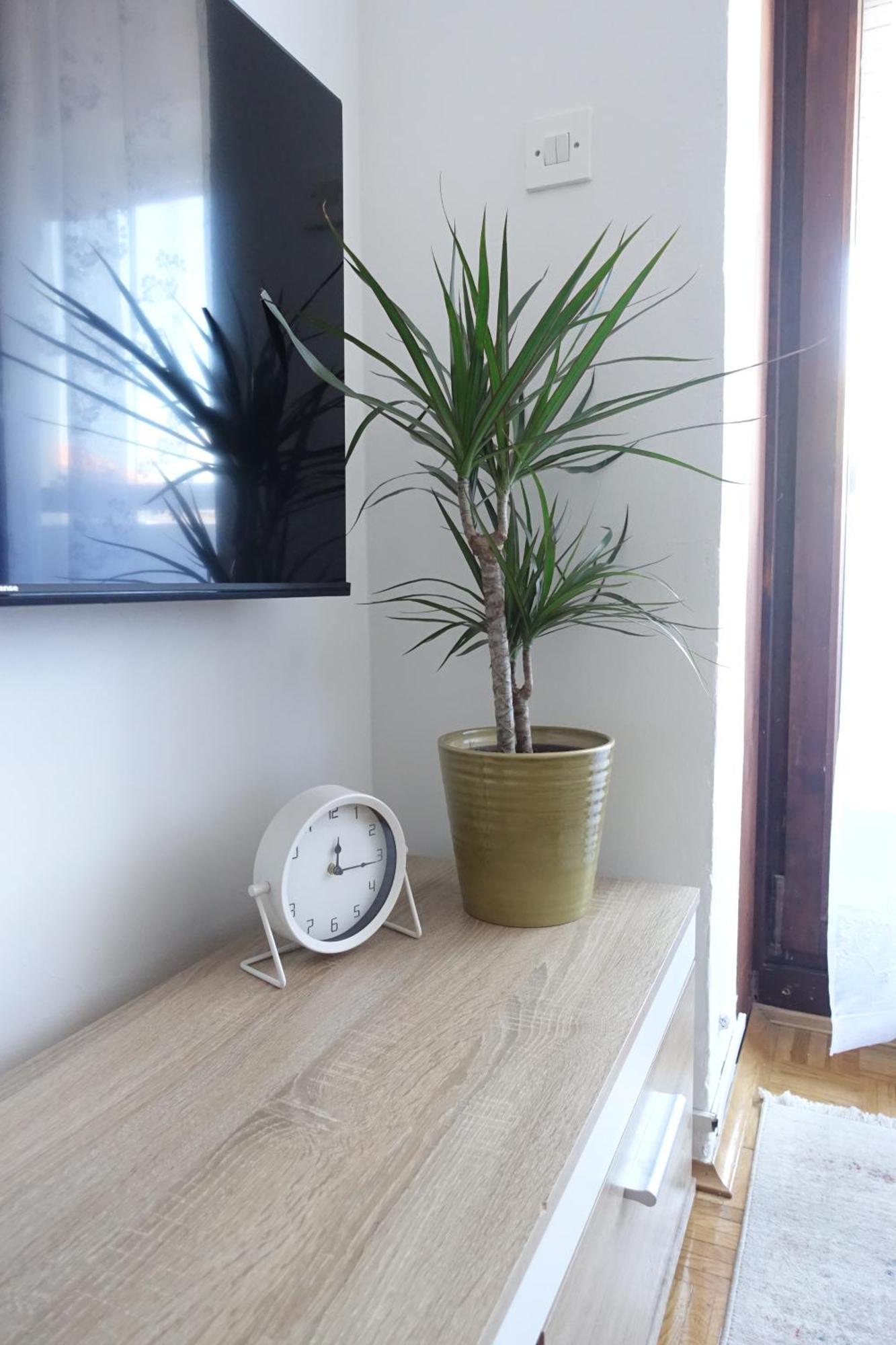 Apartman Tamara 자다르 외부 사진